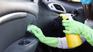 how to get rid of ants in car